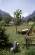 [minifoto]