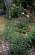 [minifoto]